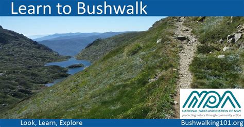 Learn To Bushwalk Bushwalking 101