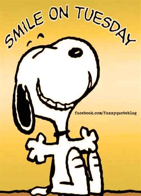 Do you like to cheer up your friends? Funny & Happy Tuesday Morning Quotes with Images | Tuesday ...