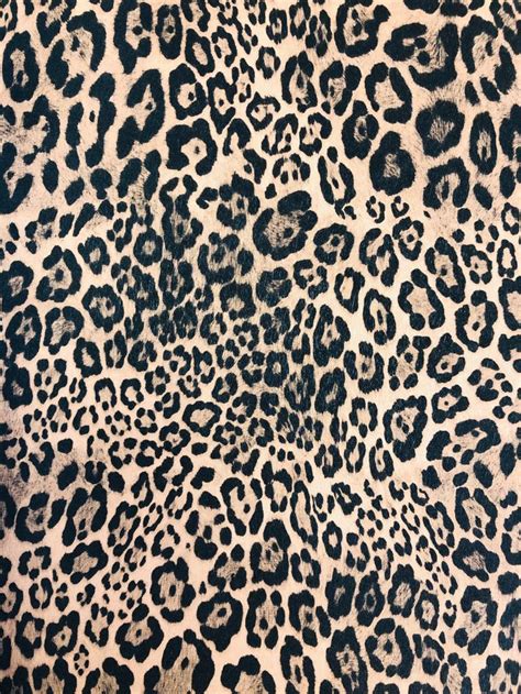 Leopard Print Wallpaper Design For Powder Room Or Statement Wall