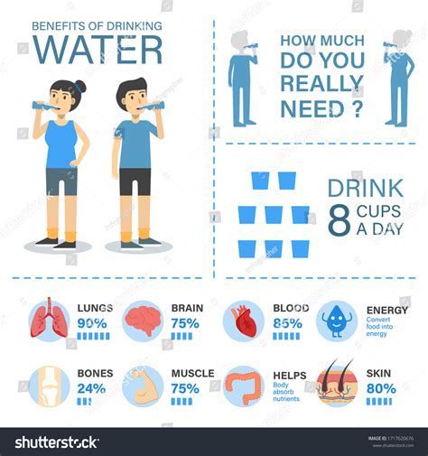 Benefits Drinking Water Infographic Template Stock Vector Royalty Free