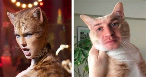 You don't need to create an account or go through a complex setup process. 10 Hilarious Memes About Cats (2019) That Will Make You Laugh