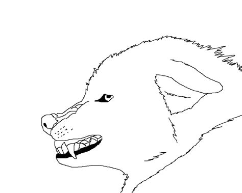 This set includes high resolution jpeg files, png files with transparent background and. Wolf Face Outline - Coloring Home