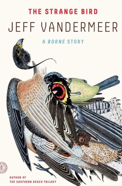 The Strange Bird A Borne Story By Jeff Vandermeer Paperback Barnes