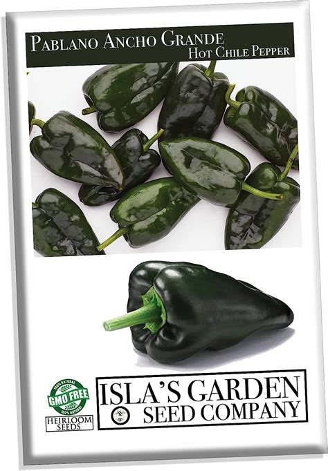 Poblano Ancho Grande Hot Chile Pepper Seeds For Planting