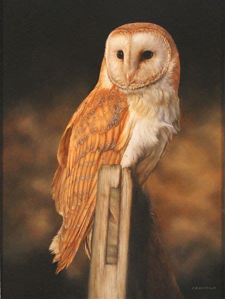 Artist Carl Andrew Whitfield Wildlife Paintings Wildlife Art Animal