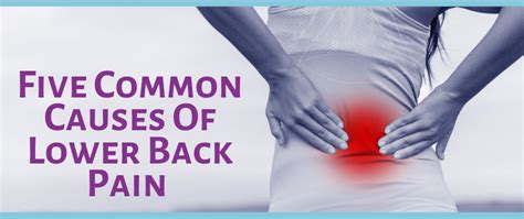 Five Common Causes Of Lower Back Pain Live Well Chiropractic Center