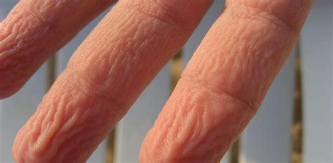 prune fingers give us better grip in slippery situations