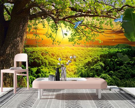 3d Sunshine Old Tree Scenery Self Adhesive Bedroom Wallpaper Wall Murals Decor Ebay