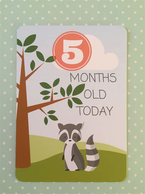 All of a sudden, your 5 month old baby is alert, smiling, showing affection, and even making a few first efforts to communicate. 5 Months Old. Baby Milestone cards. www ...