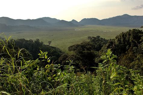 Nyungwe Forest National Park Sundowner Wildlife Holidays