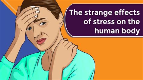 The Strange Effects Of Stress On The Human Body How Stress Affects