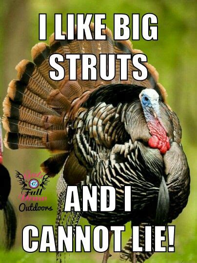 Funny Turkey Hunting Memes