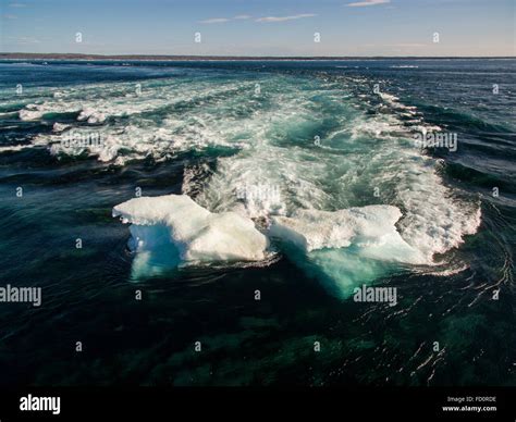 Canada Nunavut Territory Ukkusiksalik National Park Aerial View Of