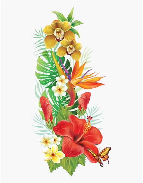 Hawaiian Tropical Flowers Png Transparent Png Kindpng