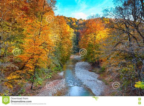 Beautiful Waterfall In Forest At Sunset Autumn Landscape Fallen Leaves Stock Photo Image Of