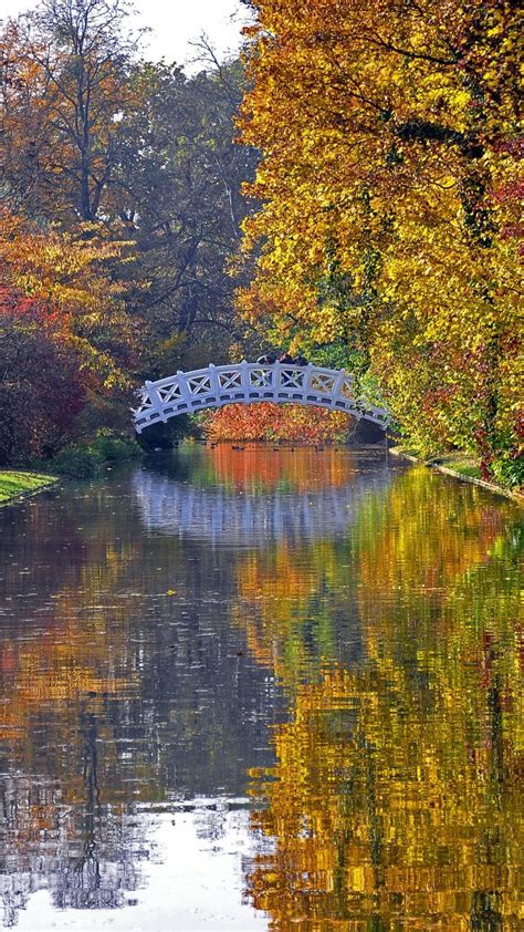 Autumn Bridge River Park Trees Reflection 💙💖💛💙💖💛 Fall Pictures