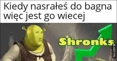Kiedy nasrałeś do bagna więc jest go więcej Shrek Stonks Shronks memy ...