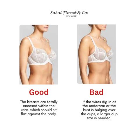 A Guide To Bra Styles Seams And Shapes Artofit