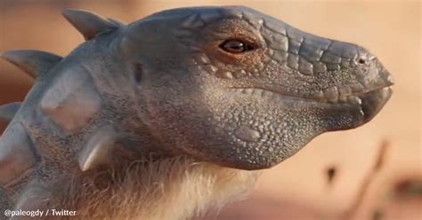 Scientists Discovered A Tiny New Dinosaur Species In Argentina Dusty Old Thing