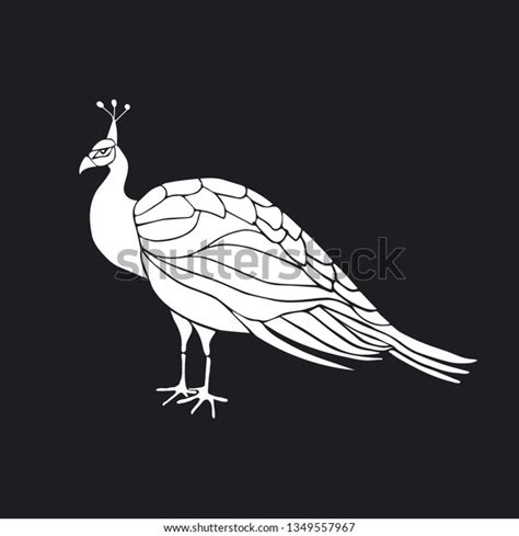 White Silhouette Peacock Hand Drawn Vector Stock Vector Royalty Free