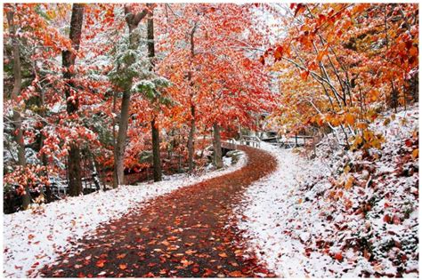 Download Autumn W Winter High Quality And Resolution Wallpaper On By