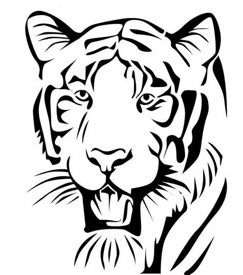 Tiger Outline Template Clipart Best
