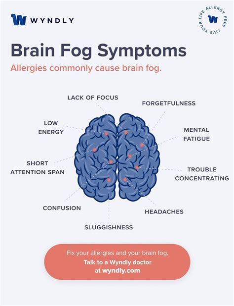 Brain Fog And Allergies Symptoms Treatment And Cure 2023 And Wyndly