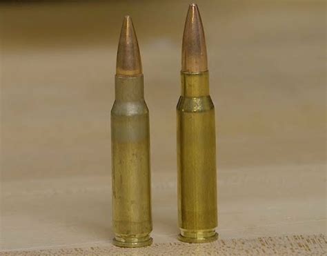 Nato Vs Winchester Ammo Whats The Difference Laptrinhx News