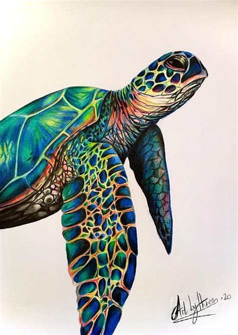 Sea Turtle Drawing Sea Turtle By Art By Three Sarah Rebekah Rachel