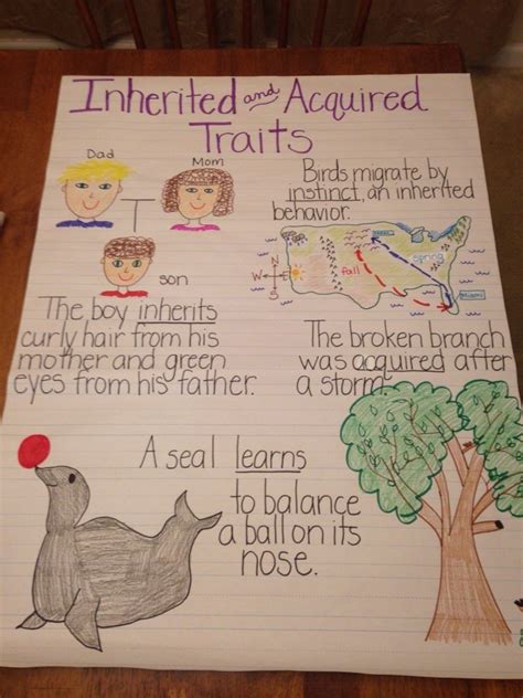 Inherited Traits Worksheet 5th Grade