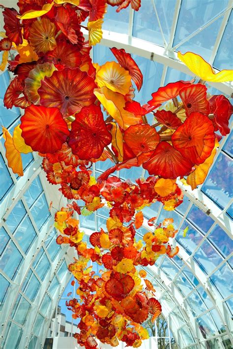 Dale Chihuly S Vibrant Glass Sculpture Garden