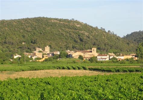 Du kaufst bei uns internationale spitzenweine und champagner, ausgewählt nach. Correns (Var)