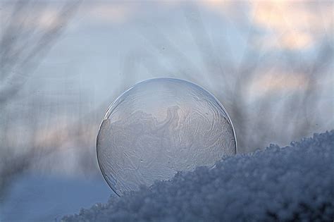 Soap Bubble Freeze Frozen Free Photo On Pixabay