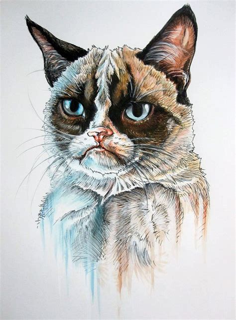 Tard The Grumpy Cat Grumpy Cat Cats Cat Art