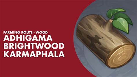 Genshin Impact Farming Route For Wood Adhigama Brightwood Karmaphala