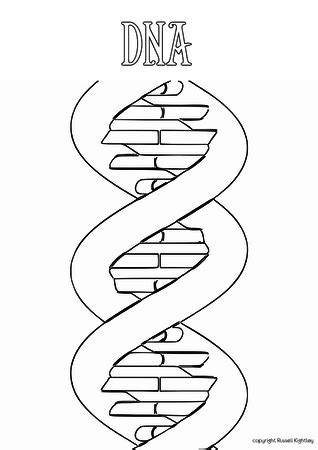 Make a coloring book with science dna color for one click. Russell Kightley Premium Scientific Pictures | DNA ...