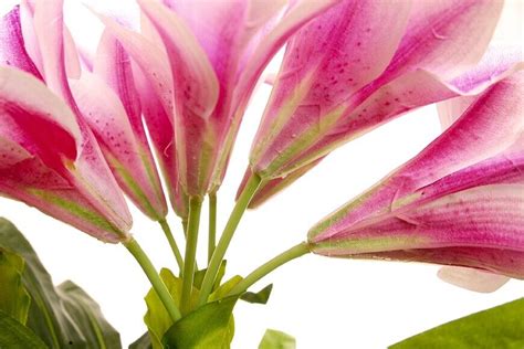 Künstliche Lilie 60 Cm Kunstblume Kunstpflanze Seidenblume Deko Mcpalms Ebay