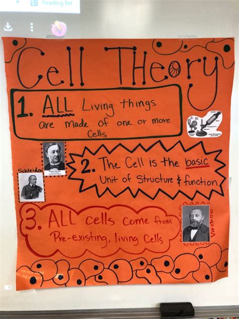 Science Middleschoolscience Cellthory Anchorcharts Cell Theory