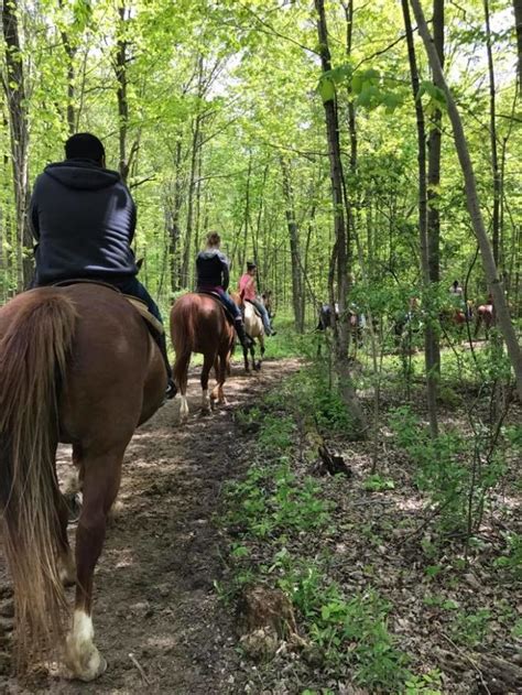Horseback Riding Trails Near Detroit