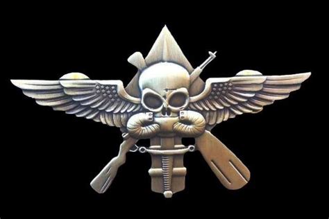 Marsoc To Receive New Breast Insignia Soldier Systems Daily
