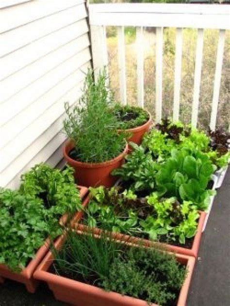 Your Balcony Garden Small Vegetable Gardens Plants