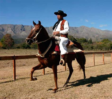 Origin Of The Peruvian Paso Horse Ampascachi