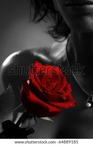Red Rose With Black Background Images My XXX Hot Girl