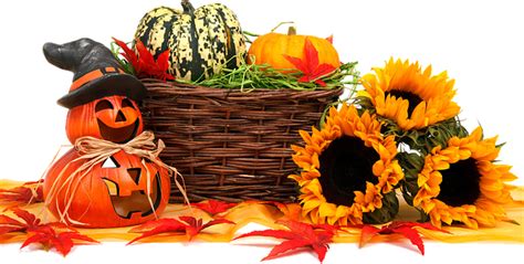 30 Kostenlose Erntedank And Herbst Illustrationen Pixabay