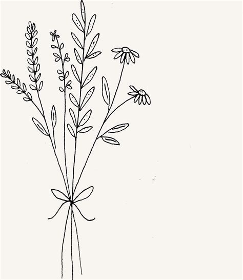 Botanical Wild Flower Bouquet Illustration By Ryn Frank Line Art Drawings Flower Doodles