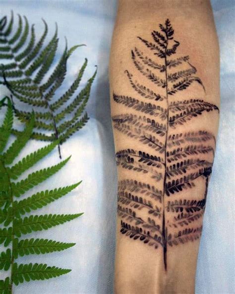 No doubt there are a lot of various leaf tattoo ideas because (and it's very easy to guess) there are so you can choose any leaf shape from an oak to palm, fern to maple one and ask your tattoo artist to ink it. 60 Fern Tattoo Designs For Men - Leaf Ink Ideas