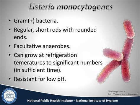 PPT Listeria Monocytogenes In Food As Public Safety Risk PowerPoint