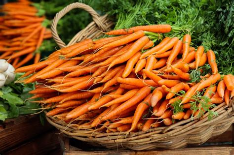 Lobak merah mengandungi beta carotene, vitamin b dan c , alpha carotene, kalsium, dan potasium. Lobak Merah Bukan Sahaja Baik Untuk Mata, Malah Bantu ...