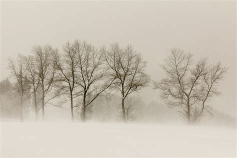 Schau dir unsere auswahl an schneesturm an, um die tollsten einzigartigen oder spezialgefertigten, handgemachten stücke aus unseren shops zu finden. Schneesturm im Schwarzwald Foto & Bild | jahreszeiten ...