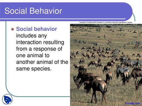 Animal Social Behavior General Zoology Lecture Slides Docsity
